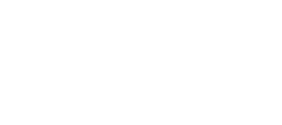Seattle Seahawks